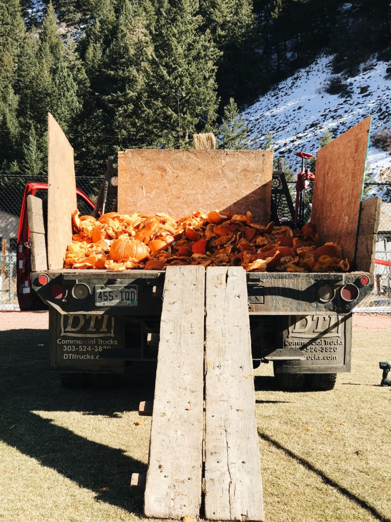 The pumpkin remains of The Pumpkin Smash